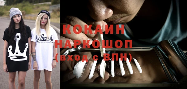 дживик Пестово