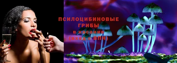 ГАЛЛЮЦИНОГЕННЫЕ ГРИБЫ Абдулино