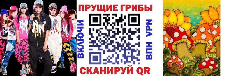 Галлюциногенные грибы Psilocybe Костерёво
